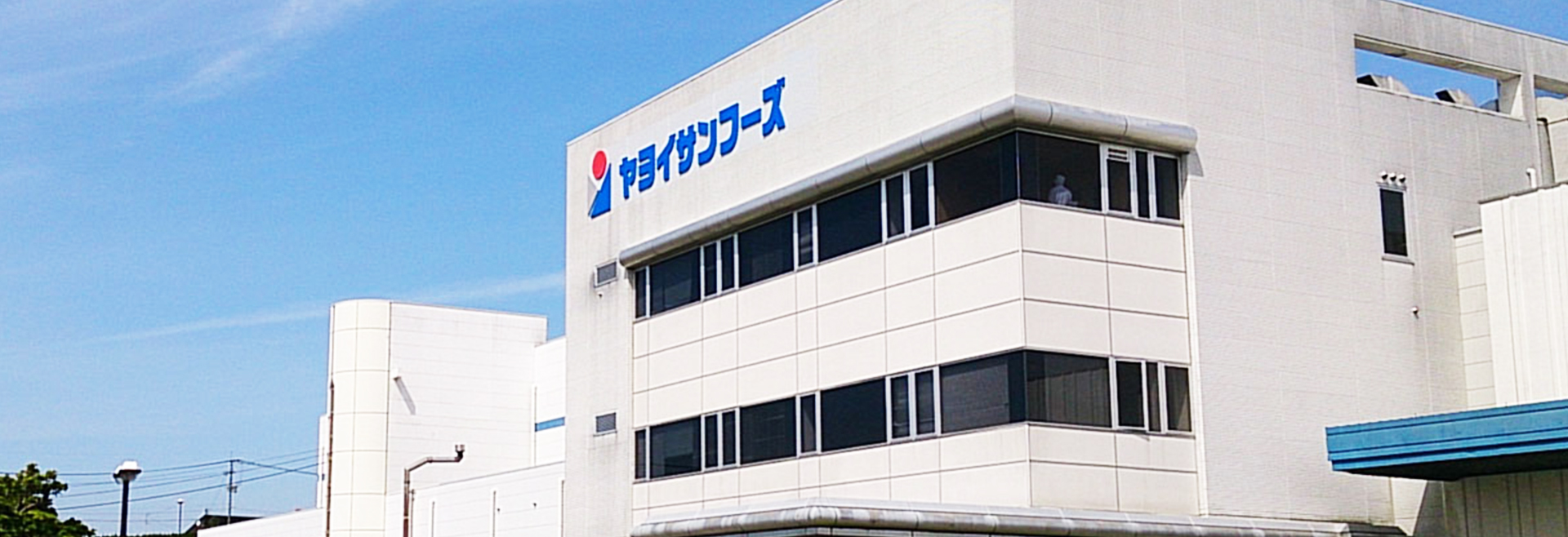 ヤヨイサンフーズ九州工場 募集要項
